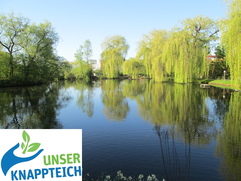 Unser Knappteich