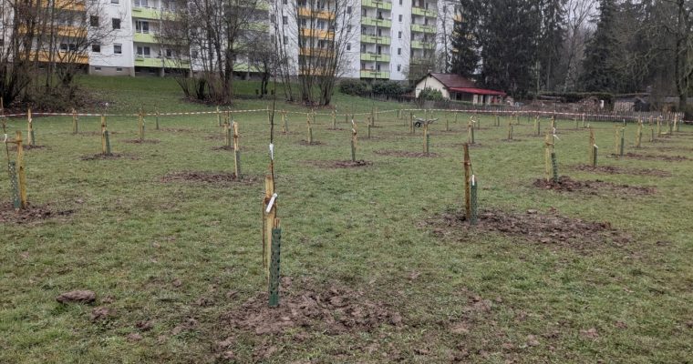 BUND-Obstlehrgarten Chemnitz-Helbersdorf